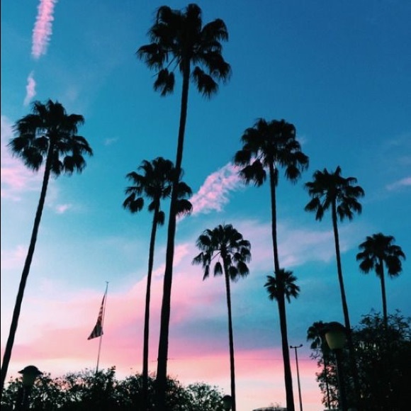 Meet your Posher, Riley💟☮️🌗☪️✨ - Picture 2 of 2